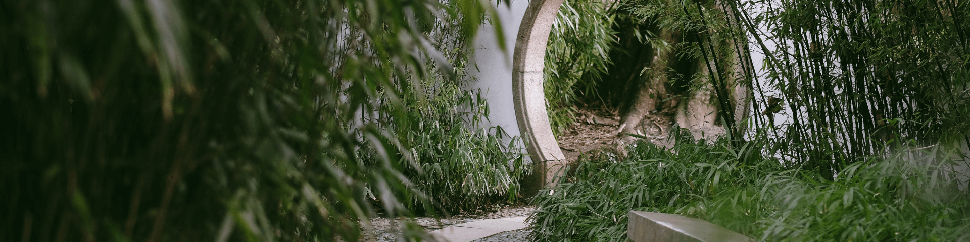 Pilaya Yoga Hintergrund